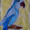 Попугай Голубая Ара