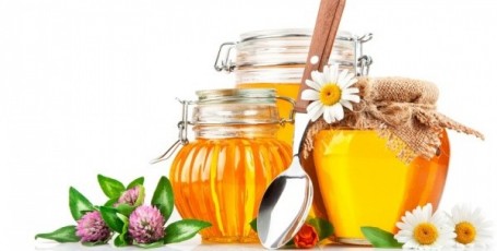 Стихи и загадки про МЁД