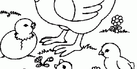 Раскраски — Домашние животные