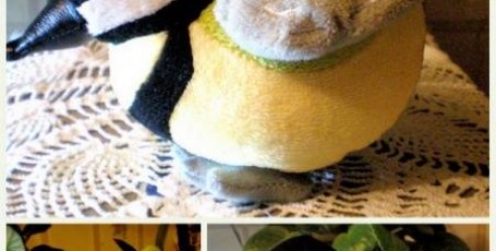 СИЛА НАМЕРЕНИЯ или  снова Новогодние чудеса!