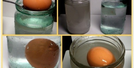 Два простых опыта с яйцом