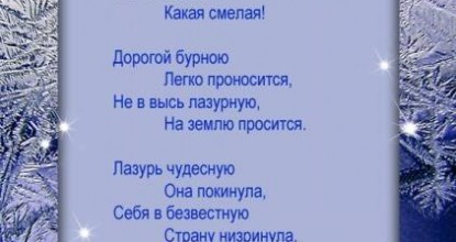 Снежные стихи