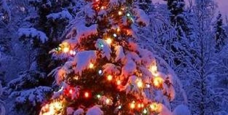 Новогодние СТИХИ