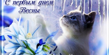 С первым днём весны и днём кошек!