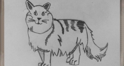 Рисуем КОШЕК — длинношерстая кошка
