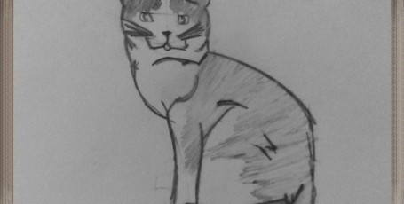 Рисуем КОШЕК — американская короткошерстная