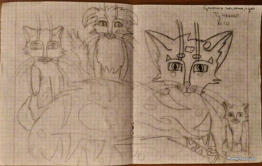 Туманные коты