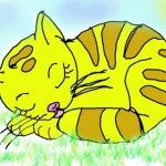 Кошка Соня и …