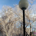 Зимнее кружево