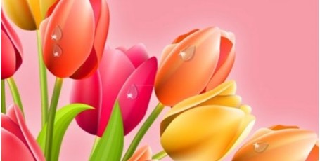 С чудесным днём 8 Марта!!!!!!!!!!!!!!