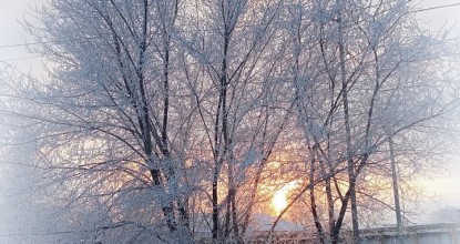 Белое покрывало января-зимняя фотозарисовка