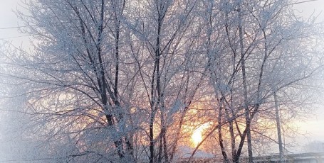 Белое покрывало января-зимняя фотозарисовка
