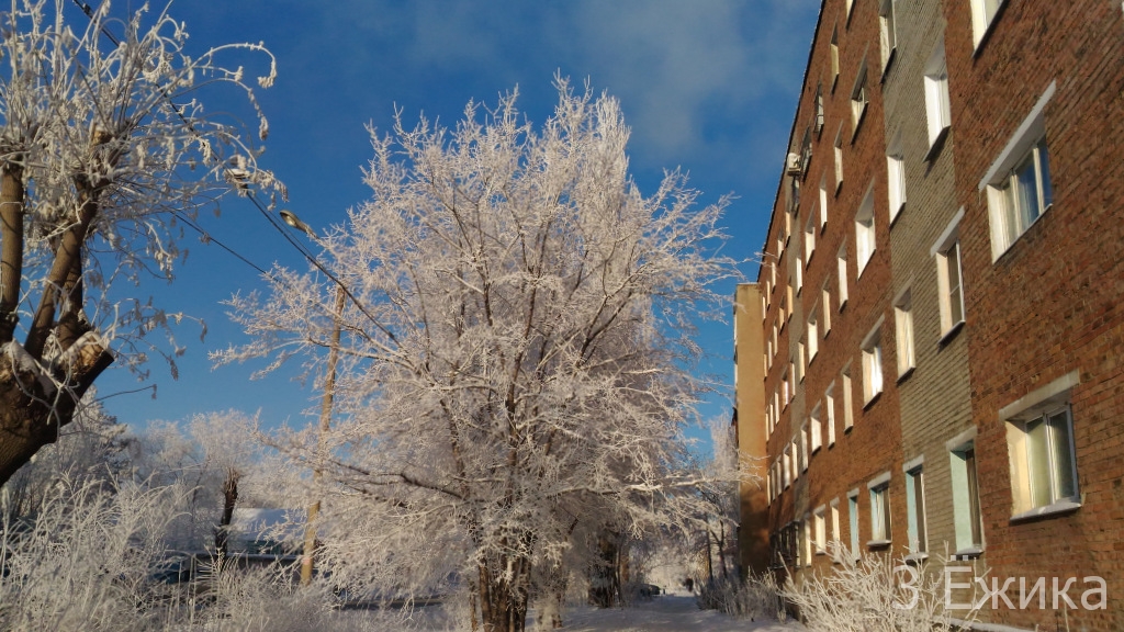 Зимний город - фотозима - декабрь (18)