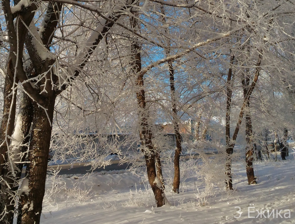 Зимний город - фотозима - декабрь (21)