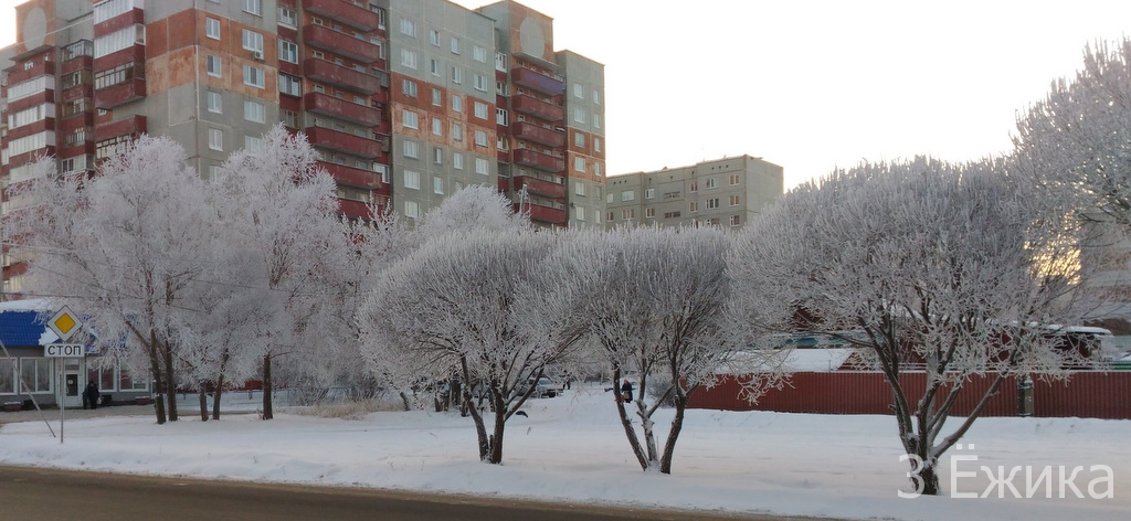 Зимний город - фотозима - декабрь (29)
