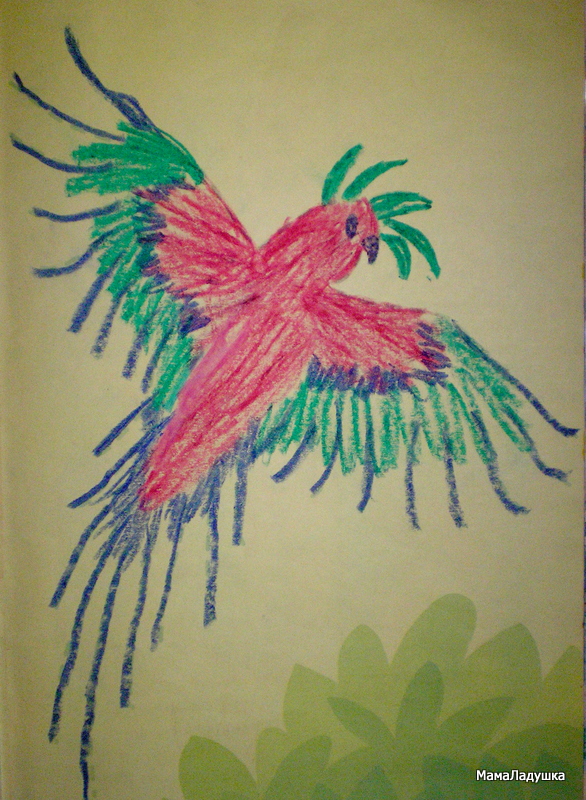 Рисуем восковыми мелками — Пестрый попугай