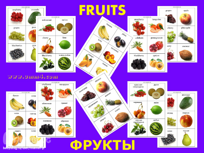 Назови одним словом