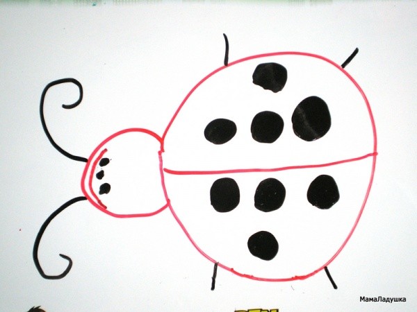 божья коровка