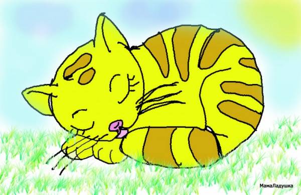котя спит 1