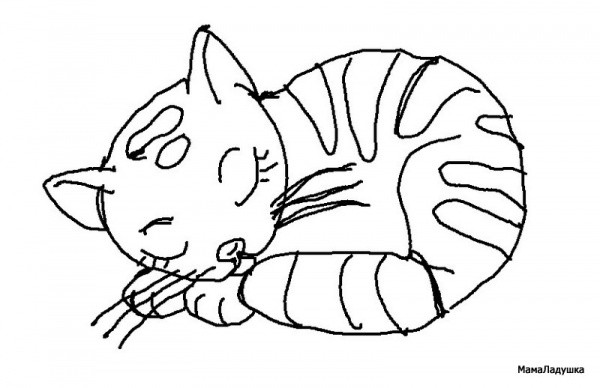 котя спит