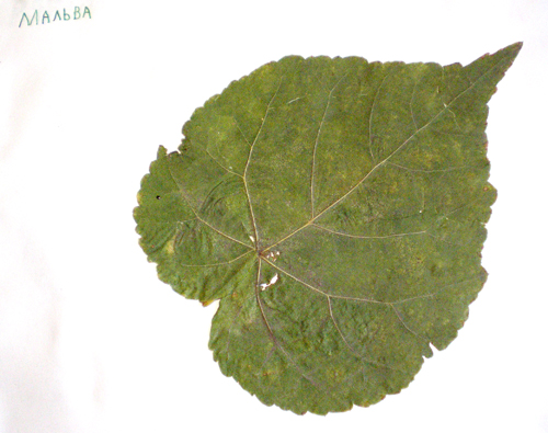 Природный материал