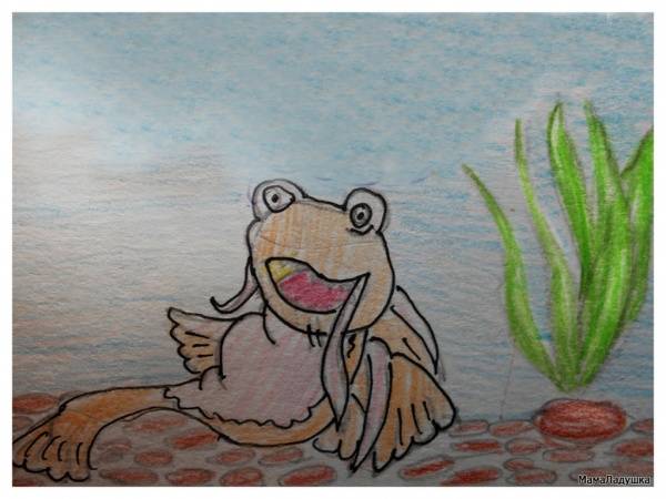 Рыба Сом с большим усом.