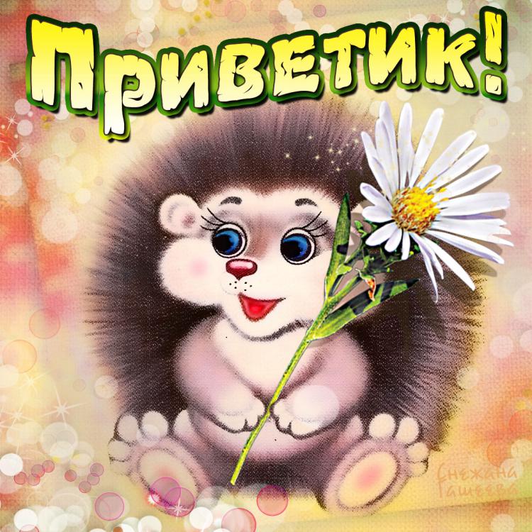 Привет мир!