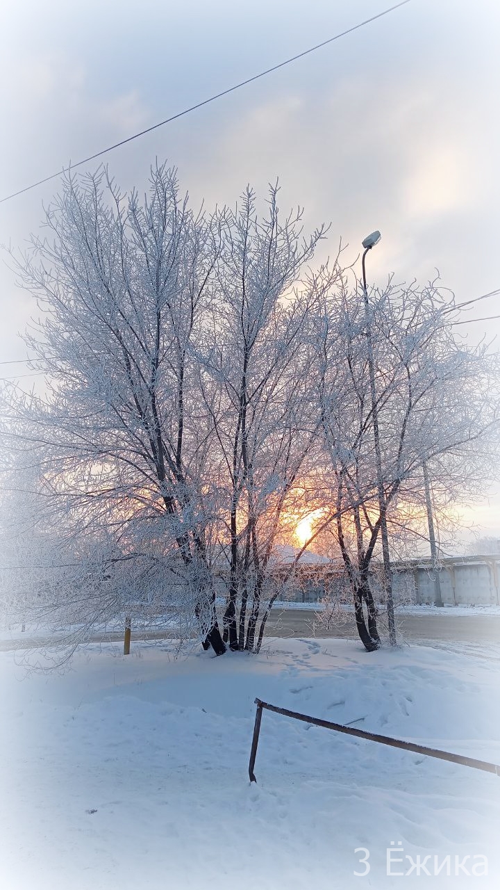 Белое покрывало января-зимняя фотозарисовка